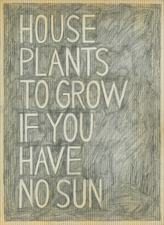 House Plants To Grow If You Have No Sun, Adrienne Garbini